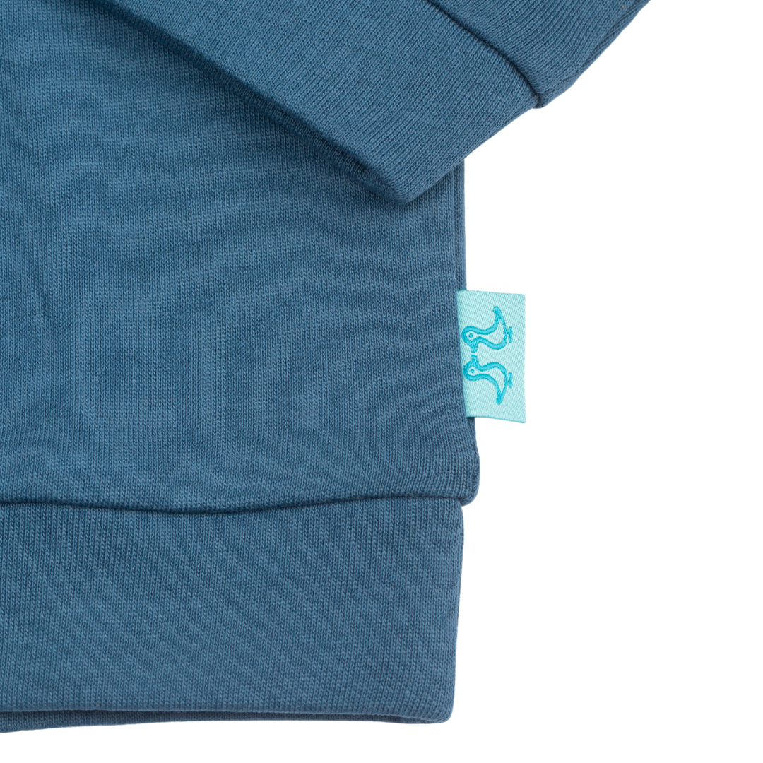 Blue Pull On Organic Cotton Hoodie