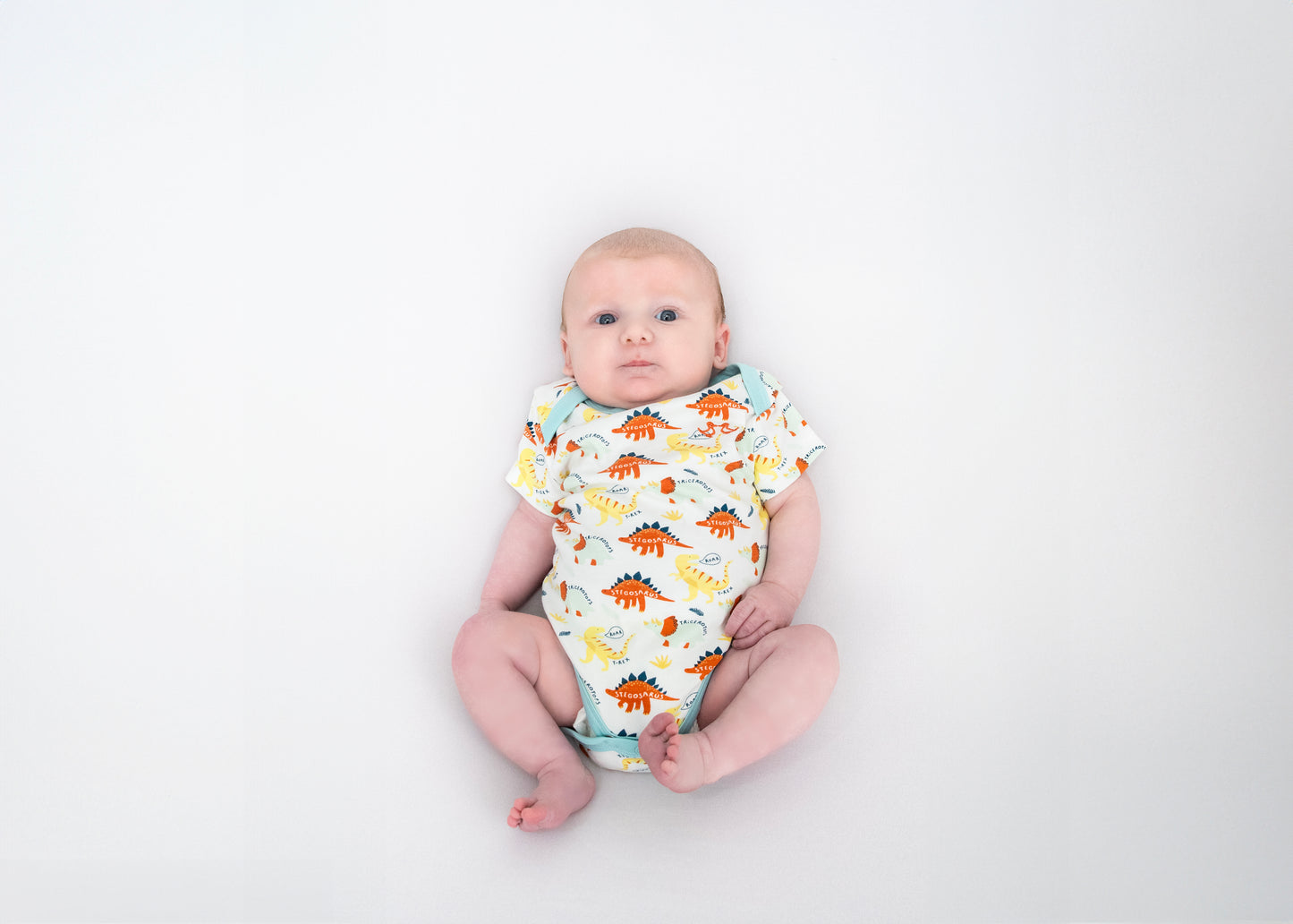 2 pack vest set - dinosaur print