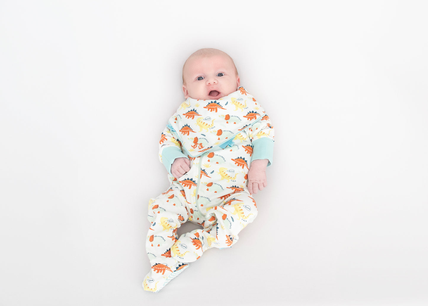 Baby grow dino print