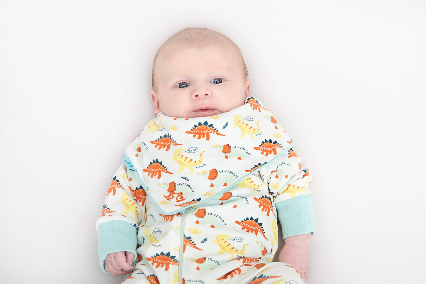 Baby grow dino print