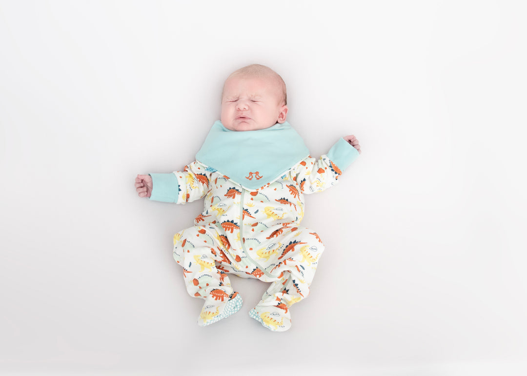 Baby grow dino print