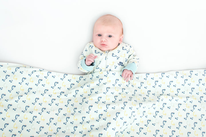 Baby blanket boys duck print