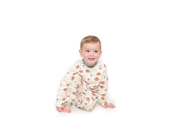 Toddler boy pyjamas - dinosaur print