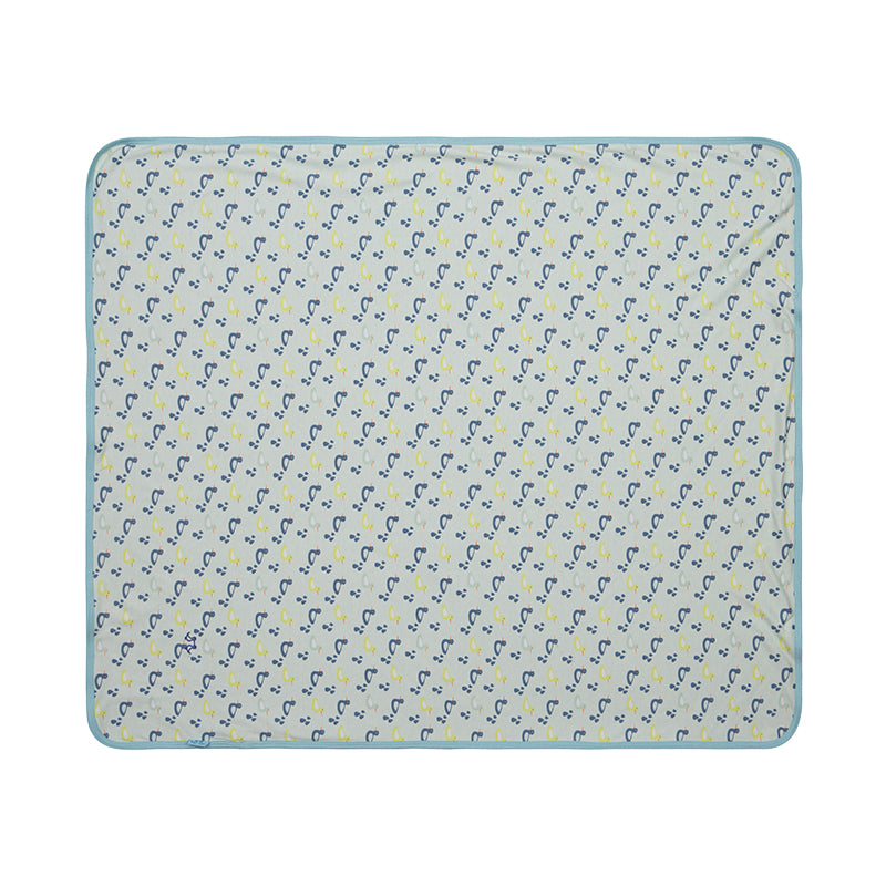 Baby blanket boys duck print