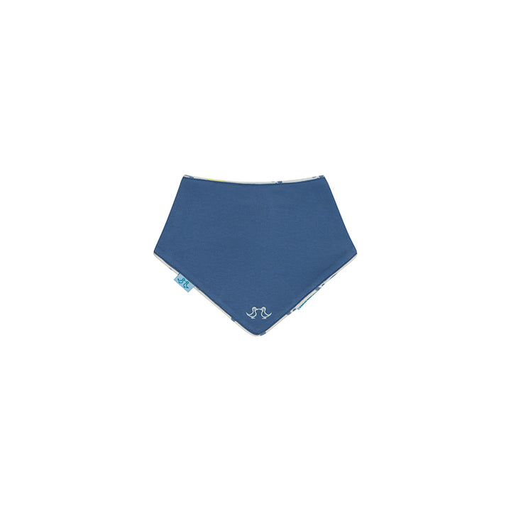 Ducks Pack of 2 Blue Baby Boys Bibs