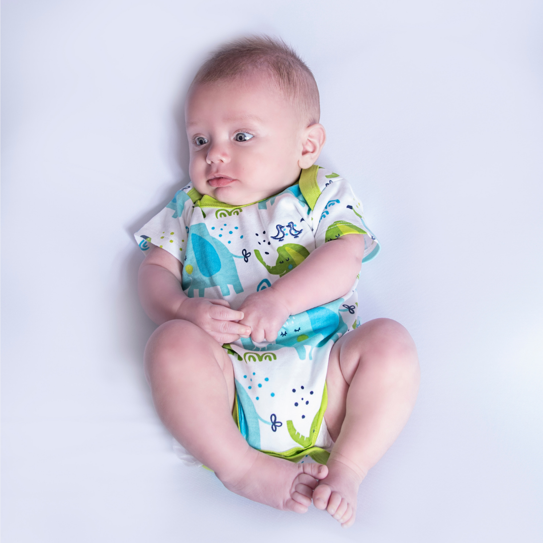 Little Elephant Boys Sleep Suit & 2 Piece Vest Set